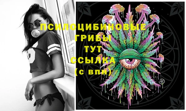 ешки Бердск