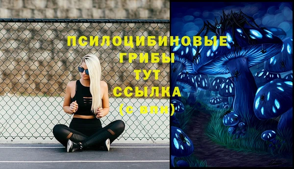трава Артём