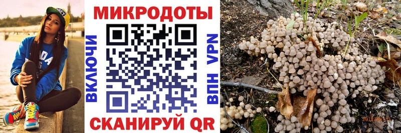 omg маркетплейс Мариинский Посад Галлюциногенные грибы Psilocybe
